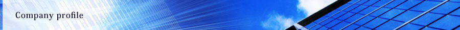 Company profile