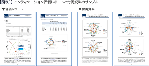 【図表１】インディケーション評価レポートと付属資料のサンプル